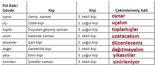 7. Sınıf Türkçe Ders Kitabı Cevapları Sayfa 101 MEB Yayınları (3. Tema Değerlendirme Çalışmaları)1