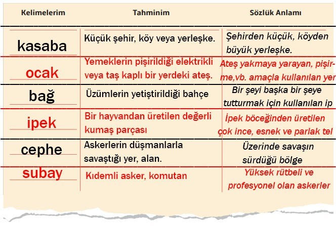 7. Sınıf Türkçe Ders Kitabı Cevapları Sayfa 48 MEB Yayınları (Atatürk’ü Gördüm Düşümde Metni)