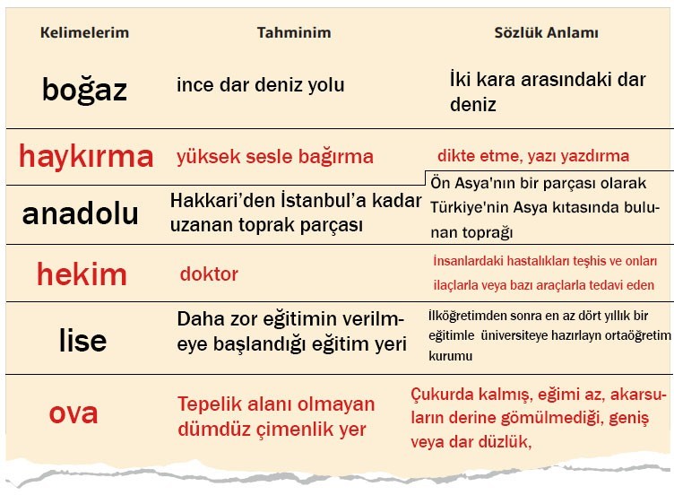 7. Sınıf Türkçe Ders Kitabı Cevapları Sayfa 61 MEB Yayınları (Penceresi Sonsuzluğa Açılan Oda Metni)