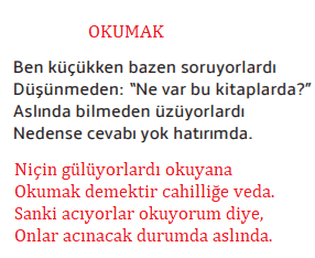 7. Sınıf Türkçe Ders Kitabı Cevapları Sayfa 85 MEB Yayınları (Kitaplarla Kurulan Dostluk Metni)