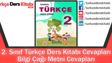 Bilgi Çağı Metni Cevapları (2. Sınıf Türkçe ADA)