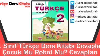 Çocuk Mu Robot Mu Cevapları (2. Sınıf Türkçe ADA)