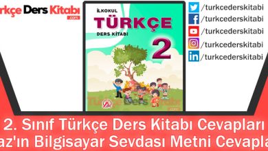 Naz'ın Bilgisayar Sevdası Metni Cevapları (2. Sınıf Türkçe ADA)