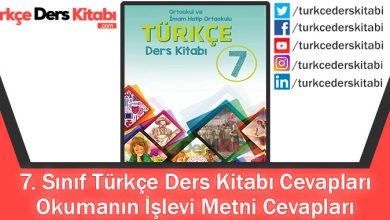Okumanın İşlevi Metni Cevapları (7. Sınıf Türkçe MEB)