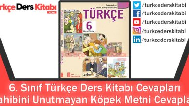 Sahibini Unutmayan Köpek Metni Cevapları (6. Sınıf Türkçe ATA)