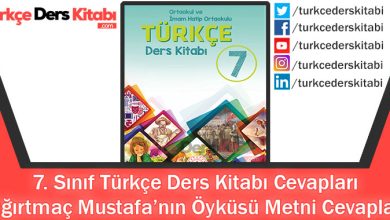 Sığırtmaç Mustafa’nın Öyküsü Metni Cevapları (7. Sınıf Türkçe MEB)