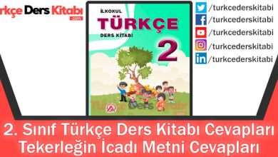 Tekerleğin İcadı Metni Cevapları (2. Sınıf Türkçe ADA)