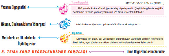 6. Sınıf Türkçe Ders Kitabı Cevapları ATA Yayıncılık Şemalar