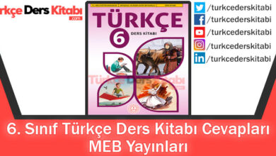 6. Sınıf Türkçe Ders Kitabı Cevapları MEB Yayınları 2023