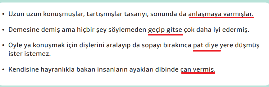 7. Sınıf Türkçe Ders Kitabı Cevapları Sayfa 114 MEB Yayınları (Kaplumbağayla İki Ördek Metni)