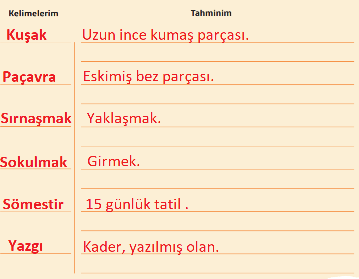 7. Sınıf Türkçe Ders Kitabı Cevapları Sayfa 210 MEB Yayınları (Futbolcu Olmaya Karar Vermiştim Metni)