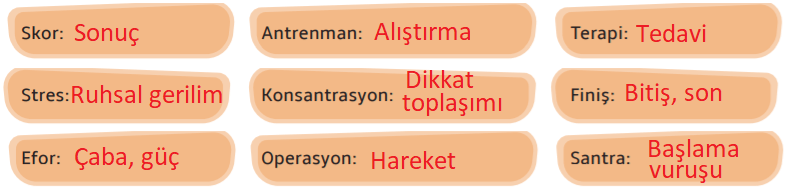 7. Sınıf Türkçe Ders Kitabı Cevapları Sayfa 211 MEB Yayınları (Futbolcu Olmaya Karar Vermiştim Metni)