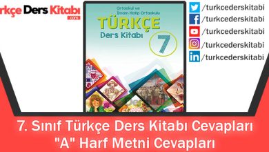 A Harf Metni Cevapları (7. Sınıf Türkçe MEB)