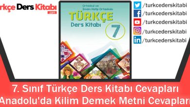 Anadolu'da Kilim Demek Metni Cevapları (7. Sınıf Türkçe MEB)