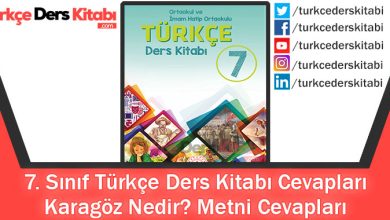 Karagöz Nedir Metni Cevapları (7. Sınıf Türkçe MEB)