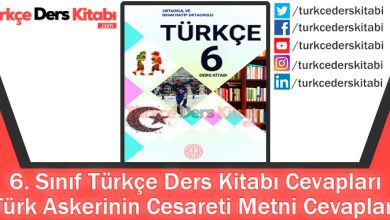 Türk Askerinin Cesareti Metni Cevapları (6. Sınıf Türkçe MEB)