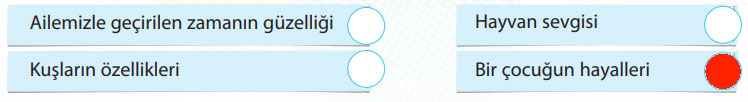 4. Sınıf Türkçe Ders Kitabı Sayfa 17 Cevapları KOZA Yayınları