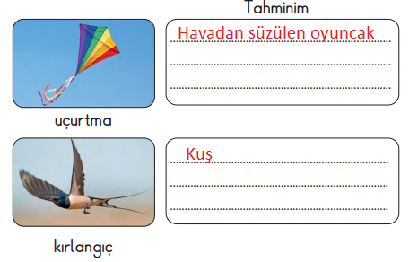 2. Sınıf Türkçe Ders Kitabı Cevapları Sayfa 34 MEB Yayınları (Barışın Ülkesi Metni)