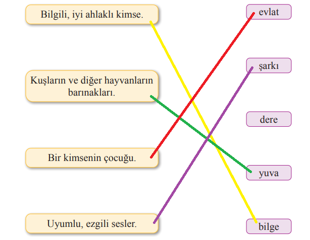 2. Sınıf Türkçe Ders Kitabı Cevapları Sayfa 61 Bilim ve Kültür Yayınları (Çam Ağacı Metni)
