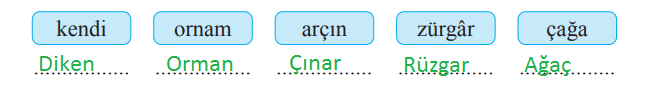 2. Sınıf Türkçe Ders Kitabı Cevapları Sayfa 61 Bilim ve Kültür Yayınları (Çam Ağacı Metni)