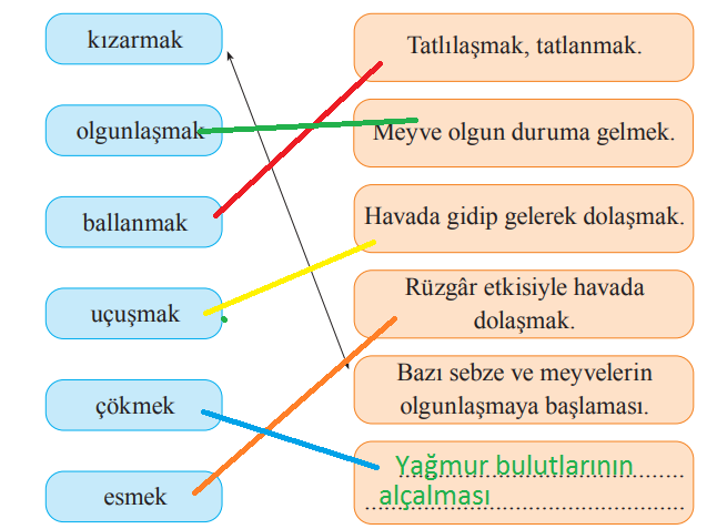 2. Sınıf Türkçe Ders Kitabı Cevapları Sayfa 75 Bilim ve Kültür Yayınları (Ağaçlarda Sonbahar Metni)