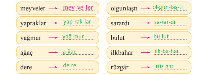 2. Sınıf Türkçe Ders Kitabı Cevapları Sayfa 77 Bilim ve Kültür Yayınları (Ağaçlarda Sonbahar Metni)