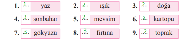 2. Sınıf Türkçe Ders Kitabı Cevapları Sayfa 82 Bilim ve Kültür Yayınları (2. Neler Öğrendik Metni)