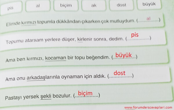 3. Sınıf Türkçe Ders Kitabı Cevapları Sayfa 59 Sonuç Yayıncılık (Yeni Kırmızı Topum Metni)