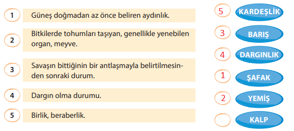 5. Sınıf Türkçe Ders Kitabı Cevapları Sayfa 14 KOZA Yayıncılık (Dünya Çocukları Metni)