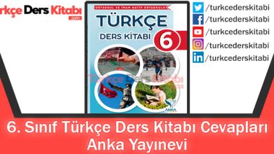 6. Sınıf Türkçe Ders Kitabı Cevapları Anka Yayınevi