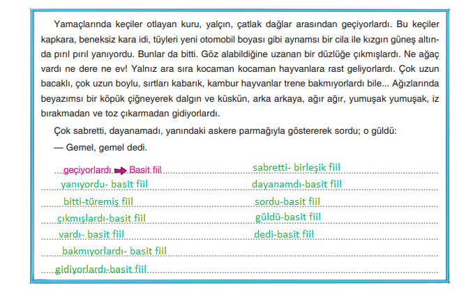 7. Sınıf Türkçe Ders Kitabı Cevapları Sayfa 30 Dörtel Yayıncılık (Eskici)