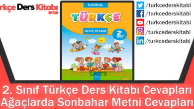 Ağaçlarda Sonbahar Metni Cevapları (2. Sınıf Türkçe Bilim ve Kültür)