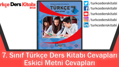 Eskici Metni Cevapları (7. Sınıf Türkçe Dörtel)
