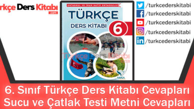 Sucu ve Çatlak Testi Metni Cevapları (6. Sınıf Türkçe Anka)