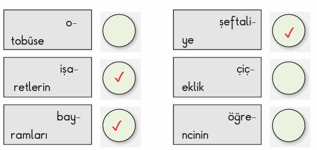 2. Sınıf Türkçe Ders Kitabı Cevapları Sayfa 68 MEB Yayınları (Güzel Vatanım)