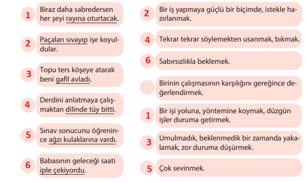 5. Sınıf Türkçe Ders Kitabı Cevapları Sayfa 102 KOZA Yayıncılık (3. Tema Ölçme ve Değerlendirme Soruları )