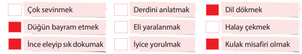 5. Sınıf Türkçe Ders Kitabı Cevapları Sayfa 102 KOZA Yayıncılık (3. Tema Ölçme ve Değerlendirme Soruları )