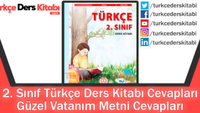 Güzel Vatanım Metni Cevapları (2. Sınıf Türkçe MEB)