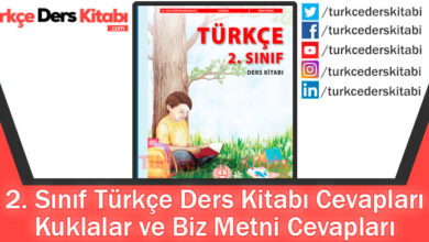 Kuklalar ve Biz Metni Cevapları (2. Sınıf Türkçe MEB)