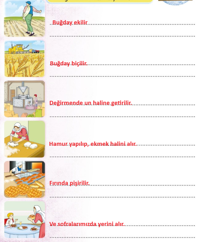 3. Sınıf Türkçe Ders Kitabı Cevapları Sayfa 132 Sonuç Yayıncılık (Buğday Masalı)