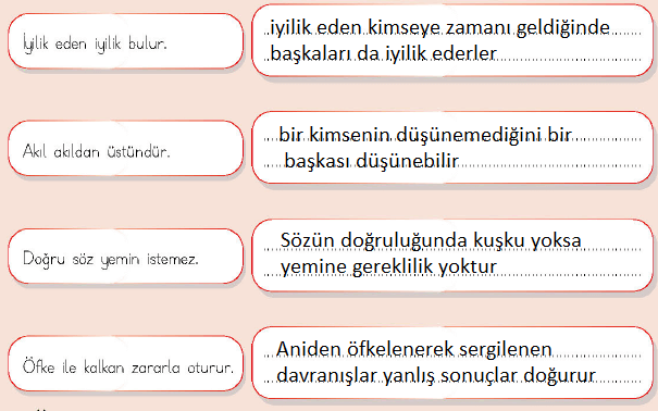 4. Sınıf Türkçe Ders Kitabı Cevapları Sayfa 75 MEB Yayınları (Tema Değerlendirme Çalışması)