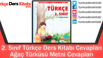 Ağaç Türküsü Metni Cevapları (2. Sınıf Türkçe MEB)