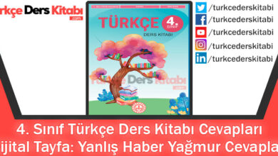 Dijital Tayfa Yanlış Haber Yağmur Metni Cevapları (4. Sınıf Türkçe MEB)