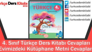 Evimizdeki Kütüphane Metni Cevapları (4. Sınıf Türkçe MEB)