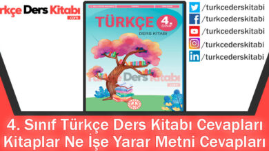 Kitaplar Ne İşe Yarar Metni Cevapları (4. Sınıf Türkçe MEB)