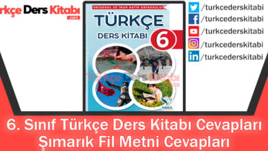 Şımarık Fil Metni Cevapları (6. Sınıf Türkçe Anka)