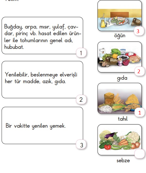 2. Sınıf Türkçe Ders Kitabı Cevapları Sayfa 143 MEB Yayınları (Neden Kahvaltı Etmeliyiz?)