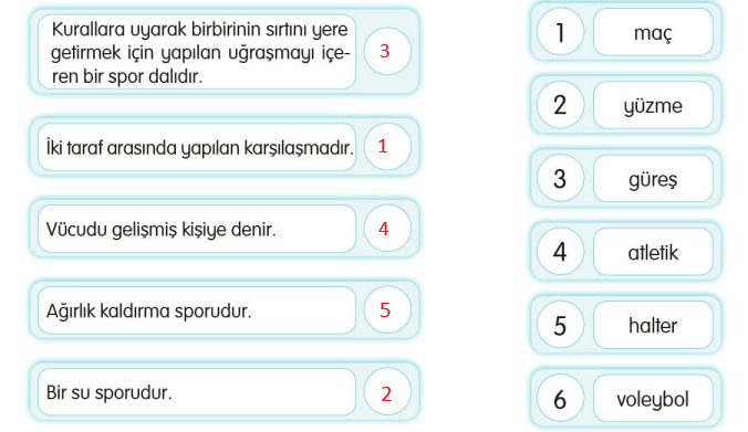 3. Sınıf Türkçe Ders Kitabı Cevapları Sayfa 170 Sonuç Yayıncılık (Vole Vole Voleybol )