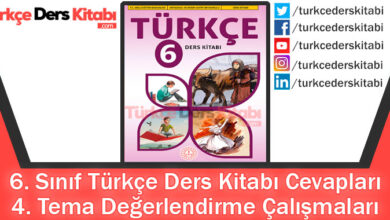 4.Tema Değerlendirme Çalışmaları Cevapları (6. Sınıf Türkçe MEB)