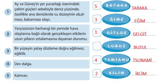 5. Sınıf Türkçe Ders Kitabı Cevapları Sayfa 148 KOZA Yayıncılık (Dünyanın Beyaz Devleri Buzullar)